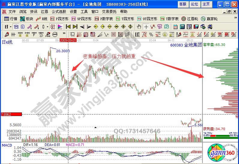 金地集團(tuán)600383籌碼分布實(shí)戰(zhàn)