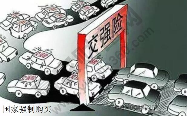 汽車(chē)保險(xiǎn)