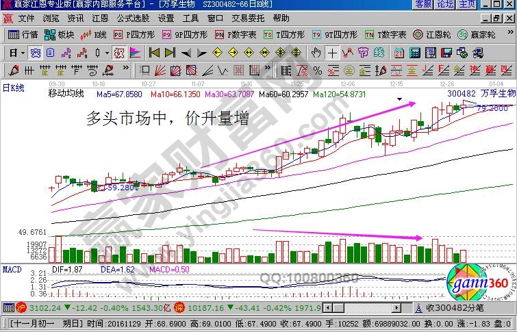 多頭市場價(jià)升量增