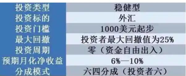 外匯投資